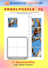 Vogelpuzzle_1b.pdf